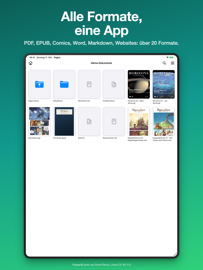 Ein Ordner mit PDFs, Büchern, Comics und Word-Dokumenten, als Miniaturen in Pagira auf dem iPad