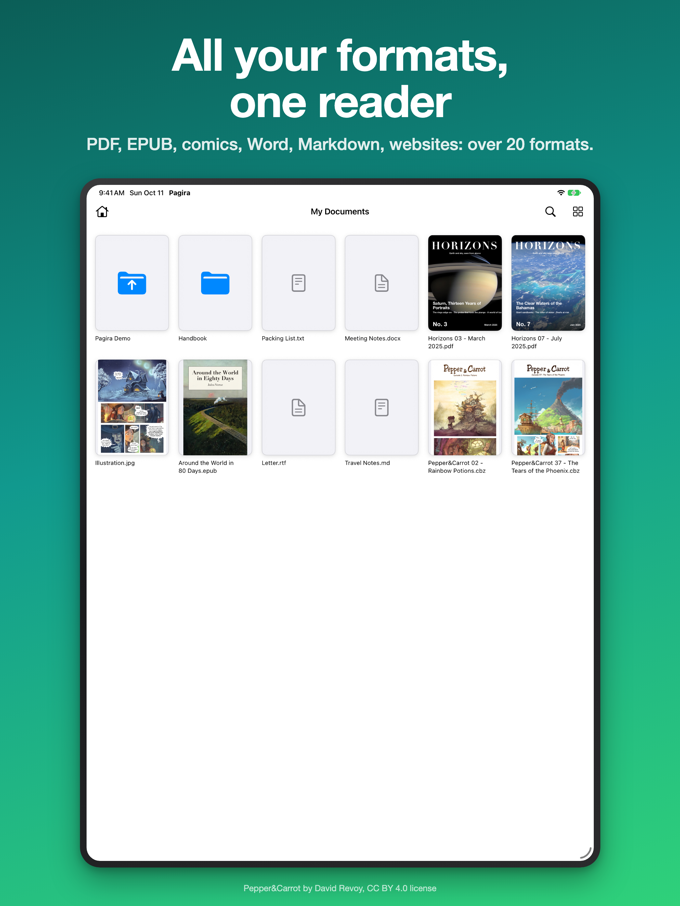 A folder mixing PDFs, books, comics and Word documents, shown as thumbnails in Pagira on iPad
