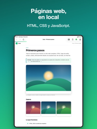 Pagira mostrando un sitio web local completo en el iPad